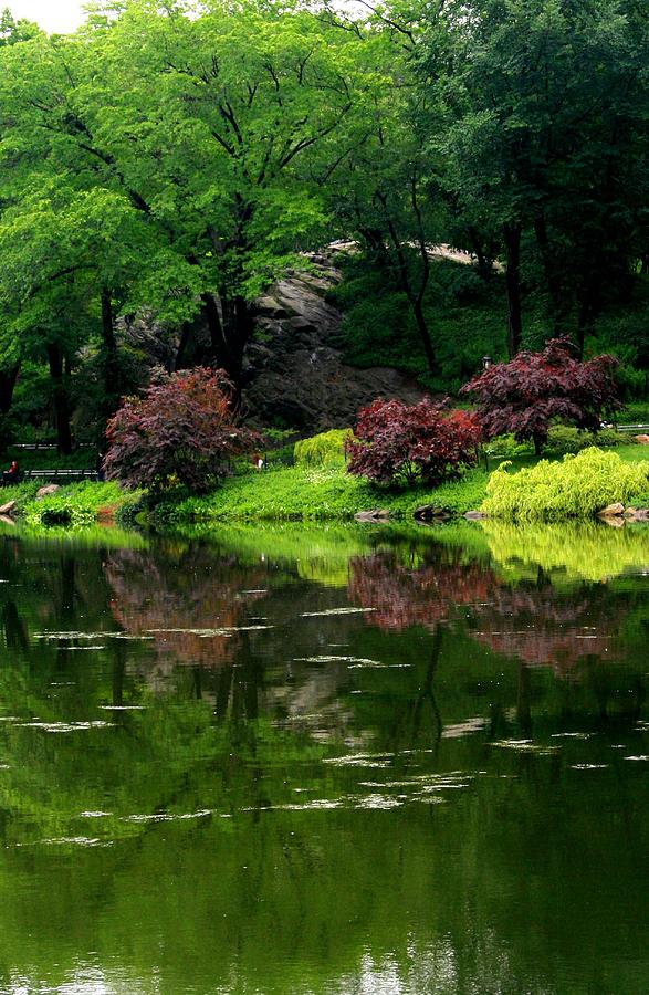 The Pond in Central Park Photograph by Christopher J Kirby