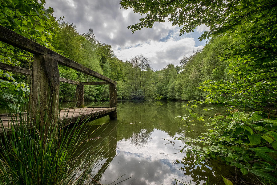 Pond Photograph - The Pond by Jan Schwarz