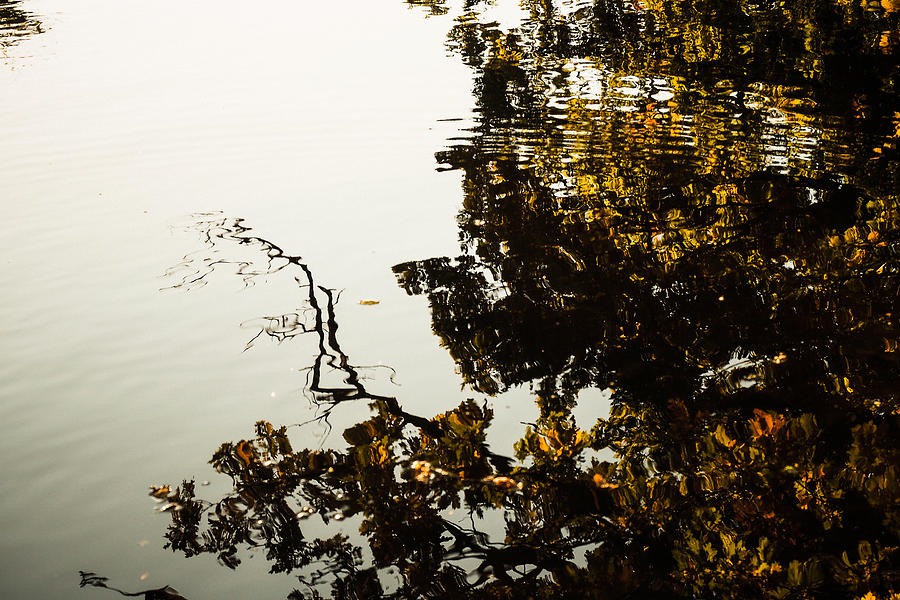 The Pond Photograph by Marcus Karlsson Sall