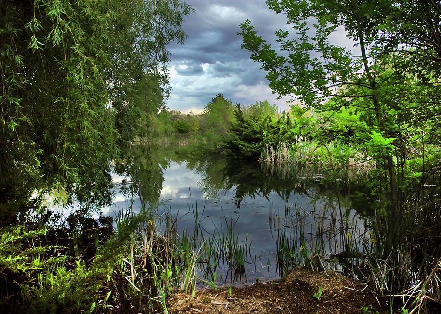 The Pond on Cloudy Day Photograph by Michelle Halsey