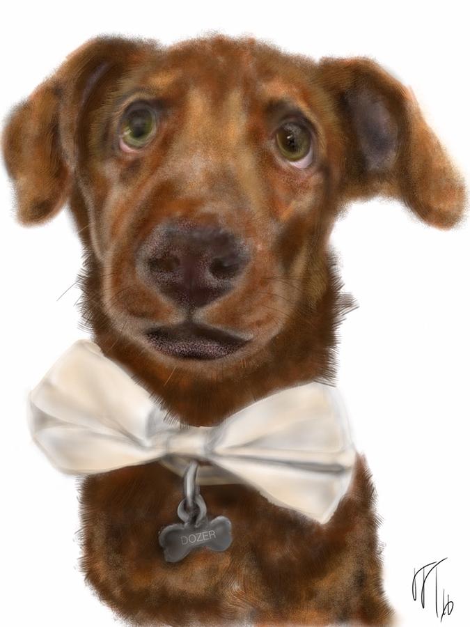Animal Painting - The Pooch with the bow tie  by Lois Ivancin Tavaf