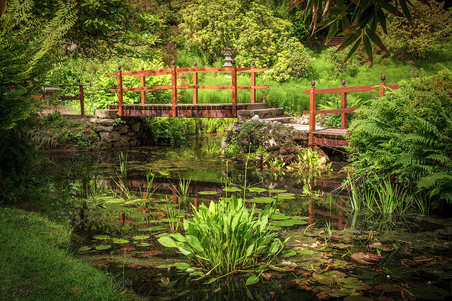 The Pool in the Japanese Garden Photograph by Debra and Dave Vanderlaan