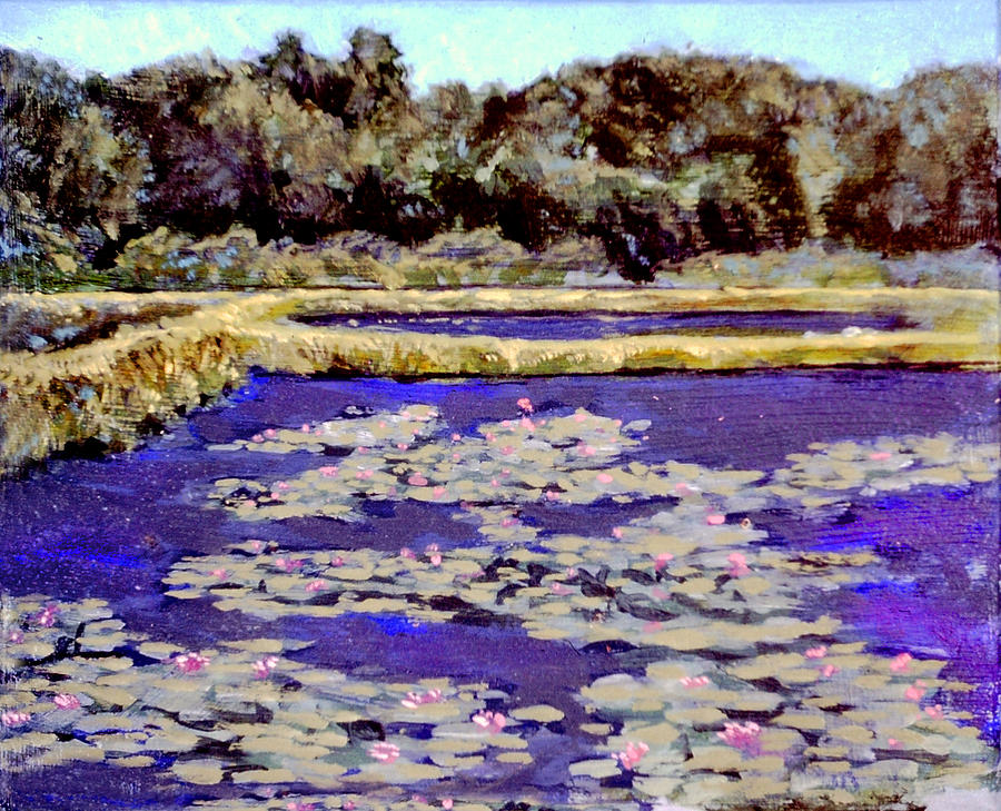 The Pools of Lily Pons Painting by David Zimmerman