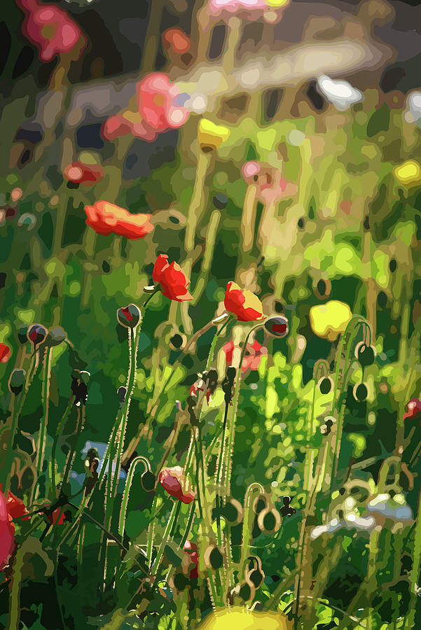 The Poppy Field Digital Art by Ian Anderson