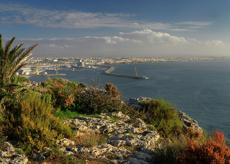 City Photograph - The port city of Safi Morocco from an overlook on the Atlantic O by Reimar Gaertner