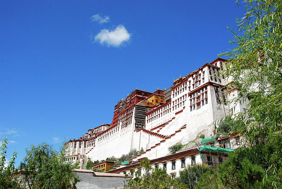 The Potala Palace Photograph by Carl Ning