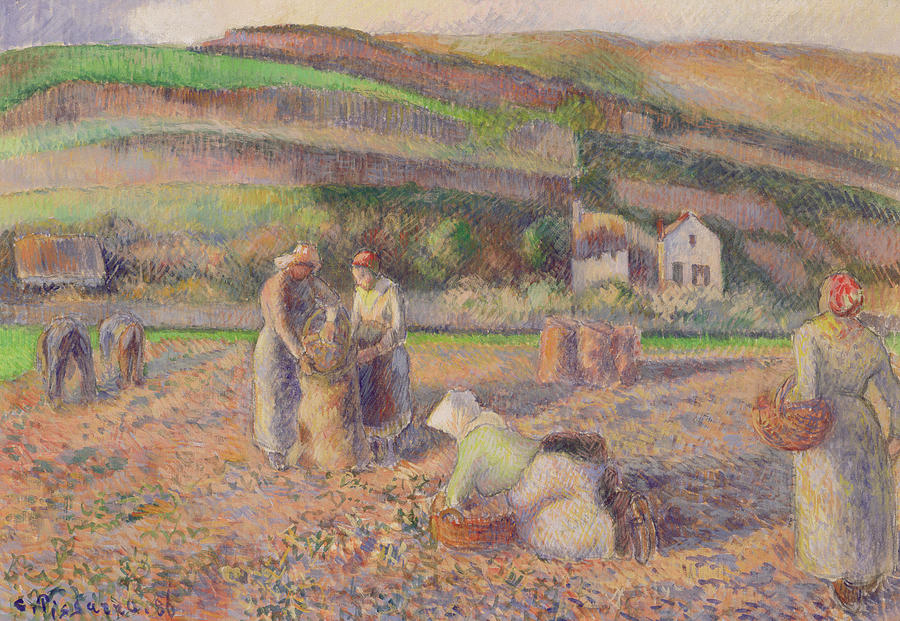 The Potato Harvest Painting by Camille Pissarro