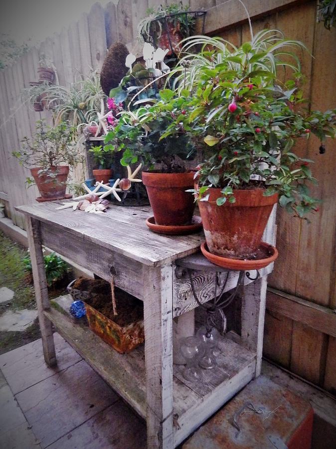 The Potting Bench Photograph by Jan Moore