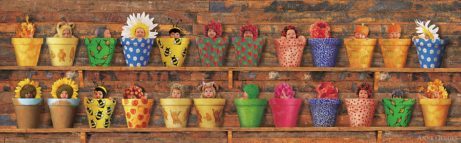 Pots Photograph - The Potting Shed by Anne Geddes