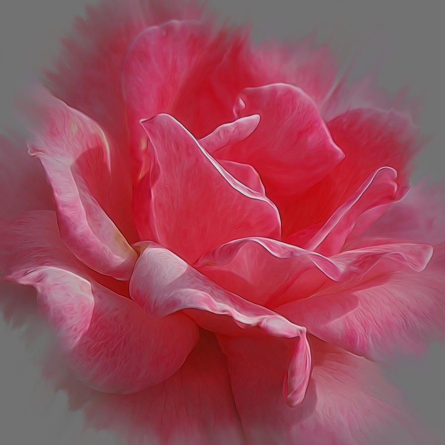 Rose Digital Art - The Power of Pink by Ernest Echols