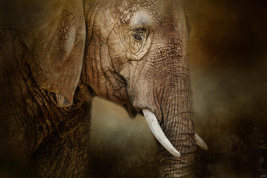 The Powerful Elephant Photograph by Jai Johnson