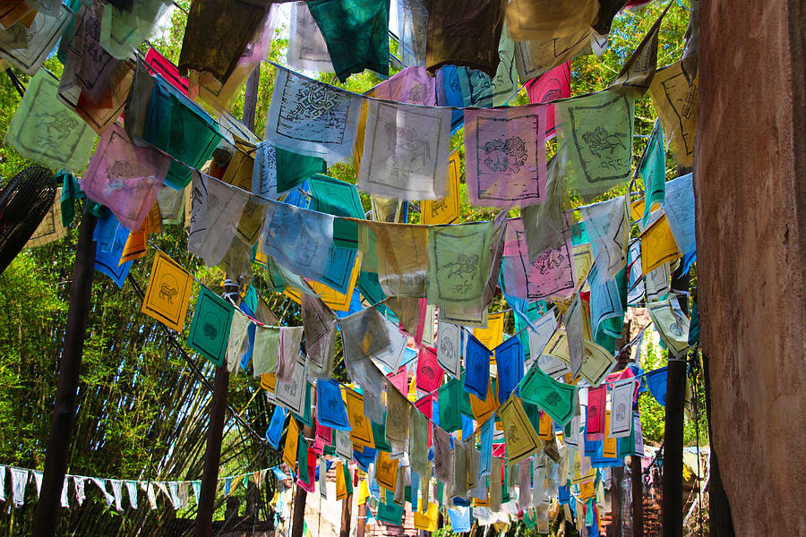 The Prayer Flags of Anandapur at Disney's Animal Kingdom Photograph by ...