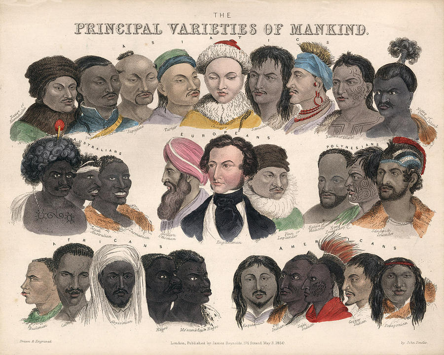 The Principal Varieties Of Mankind - Ethnographic Map - Anthropology - Antique Historical Chart Drawing
