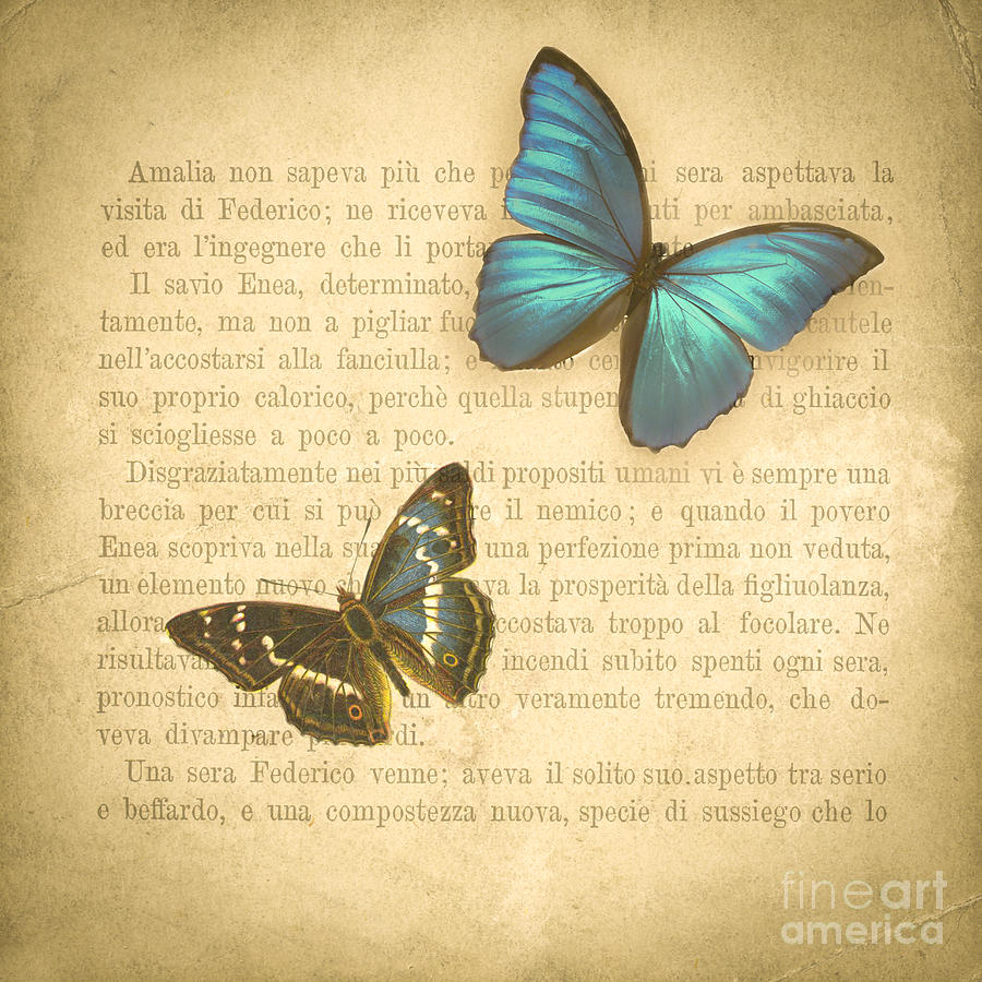 Butterfly Digital Art - The Printed Page 3 by Jan Bickerton