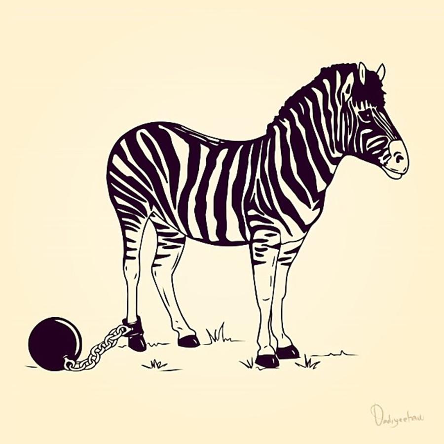Zebra Photograph - The Prisoner #art #artworth #indehoojs by Dadi Setiadi