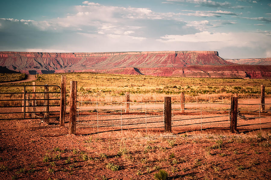 Grand Canyon National Park Photograph - The Private Property by Radek Spanninger