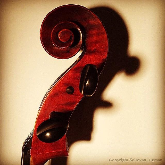 Violin Photograph - The Profile  #2 by Steven Digman