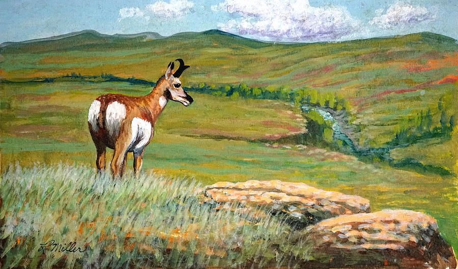 The Pronghorn Painting By Rudolph J Miller Fine Art America