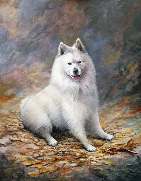 The Proud Samoyed Painting by J Channell