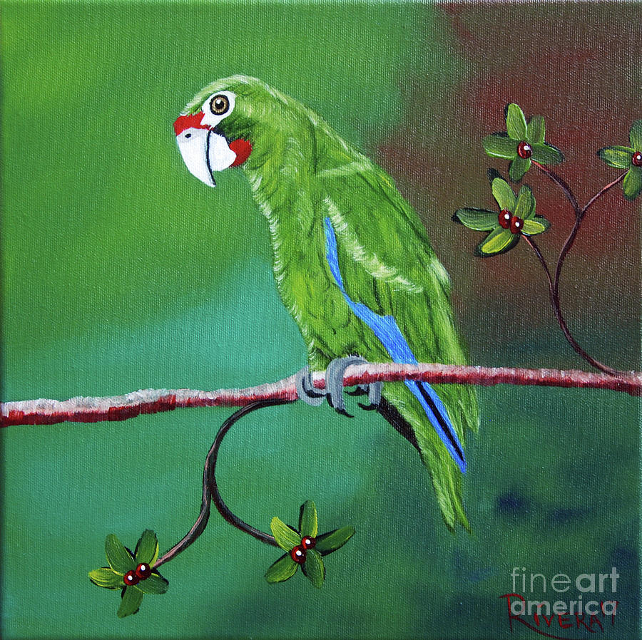 The Puertorican Parrot Painting by Edwin Rivera