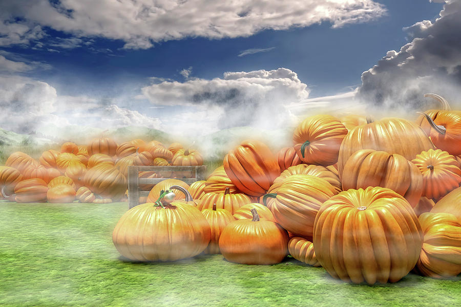 Pumpkins Digital Art - The Pumpkin Field by Betsy Knapp