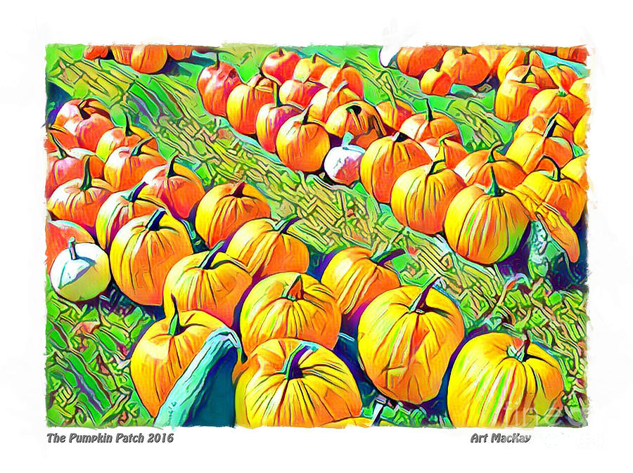 The Pumpkin Patch Photograph by Art MacKay
