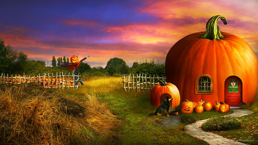 The pumpkin patch Photograph by Mike Savad