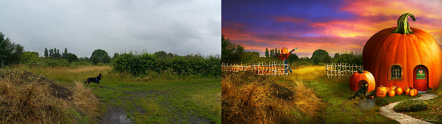 The pumpkin patch - Side by Side Photograph by Mike Savad