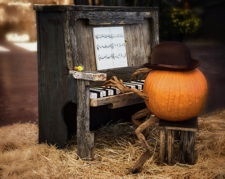 The Pumpkin Piano Man  Photograph by Saija Lehtonen