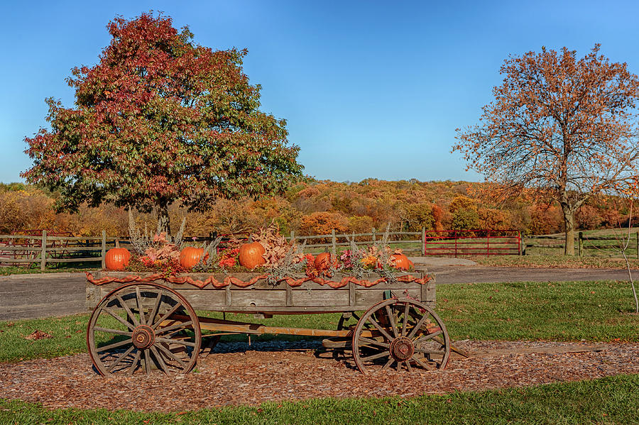 The Pumpkin Wagon Photograph by Susan Rissi Tregoning