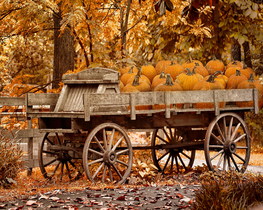 The Pumpkin Wagon Photograph by TnBackroadsPhotos 