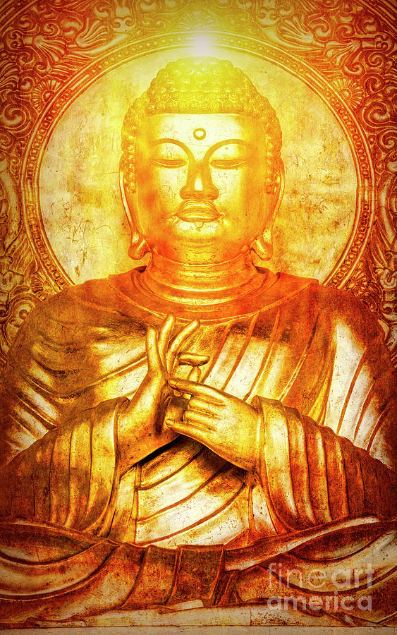 Buddha Photograph - The Purity of Stillness by Tim Gainey