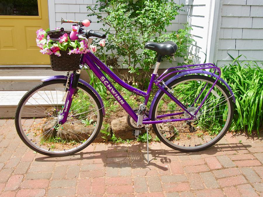 The Purple Bike Photograph by Stephanie Moore