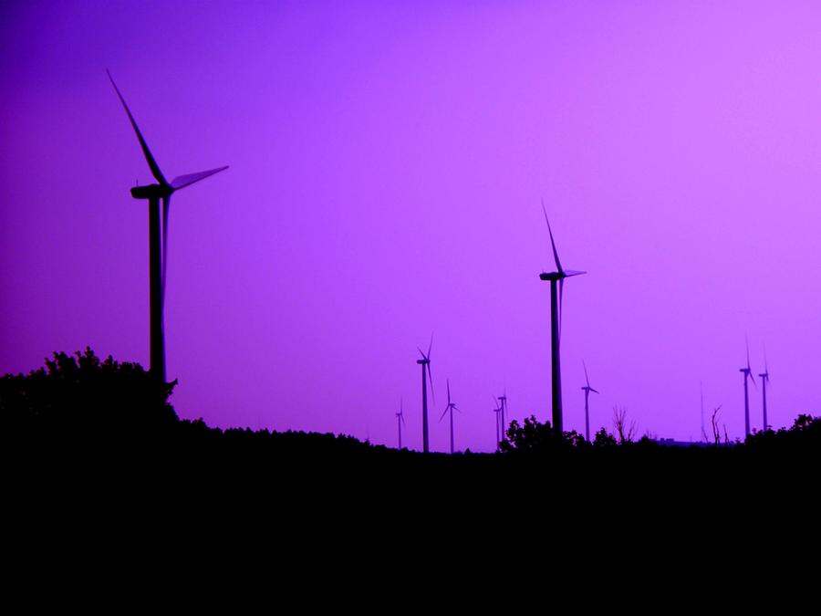 The Purple Expanse Photograph by Christopher Brown