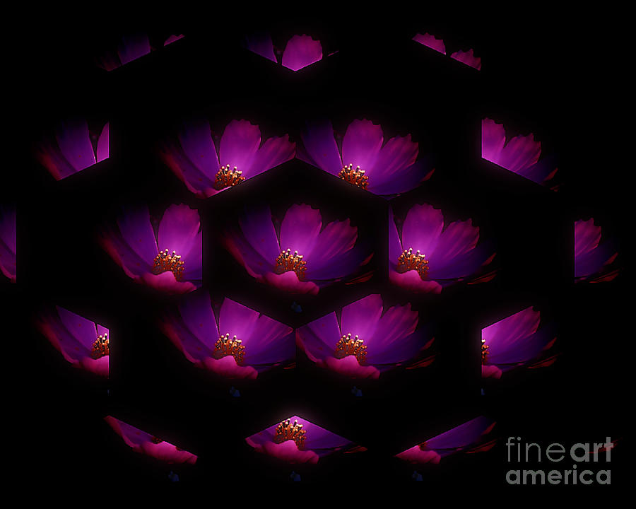 The Purple Flower Digital Art By Linda Ouellette Fine Art America