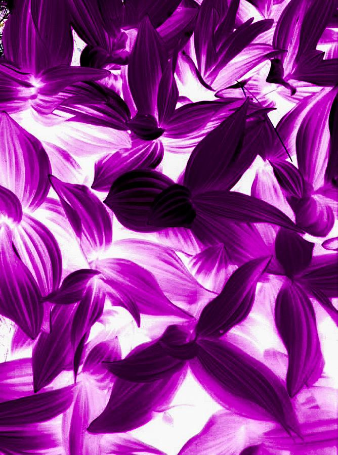 The Purple Leaf Mixed Media by Jennifer Lake
