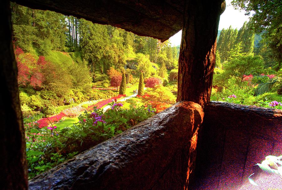 The Quarry View From Fairy Cottage Photograph by Lawrence Christopher