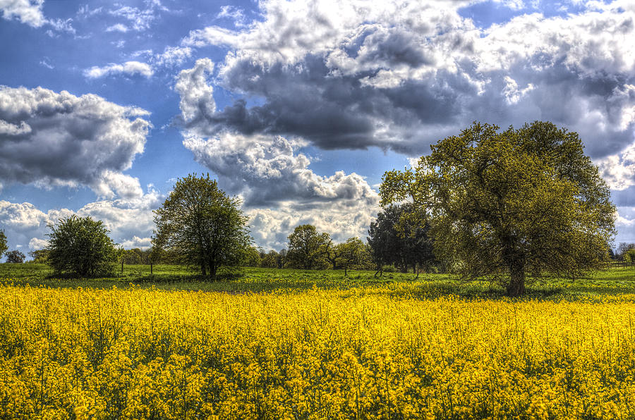 The Quiet Farm Photograph by David Pyatt - Fine Art America