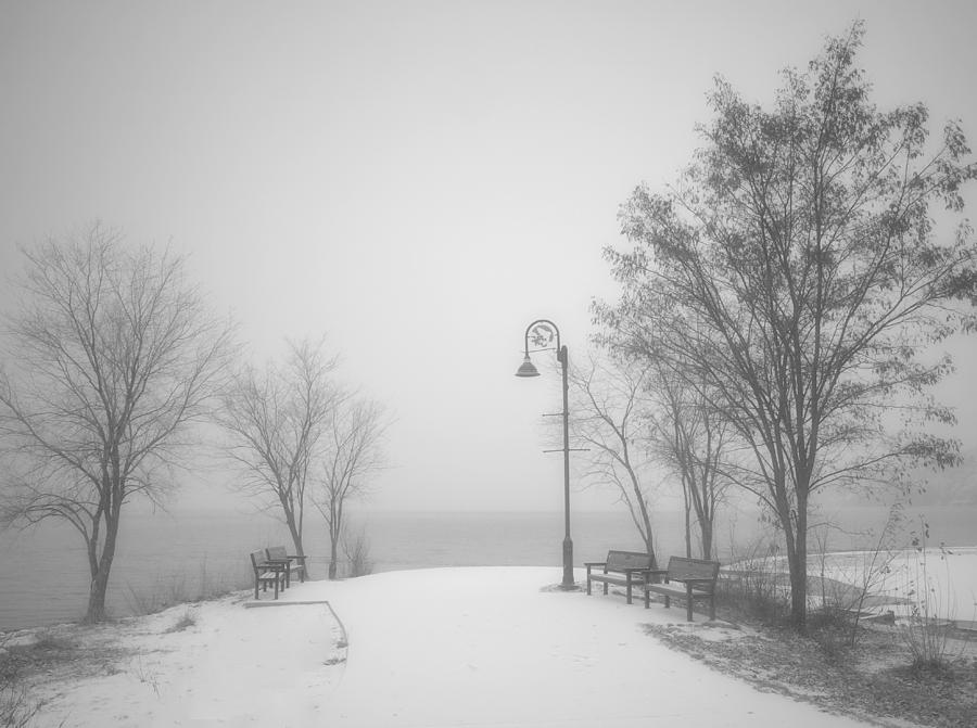 The Quiet Moment Before Snow Touches Ground Photograph by Tara Turner