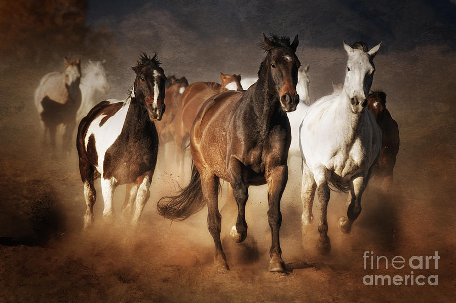 Horse Photograph - The Race by Heather Swan