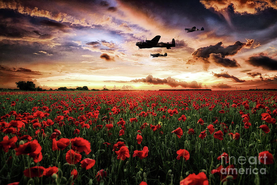 The RAFs Finest Digital Art by Airpower Art