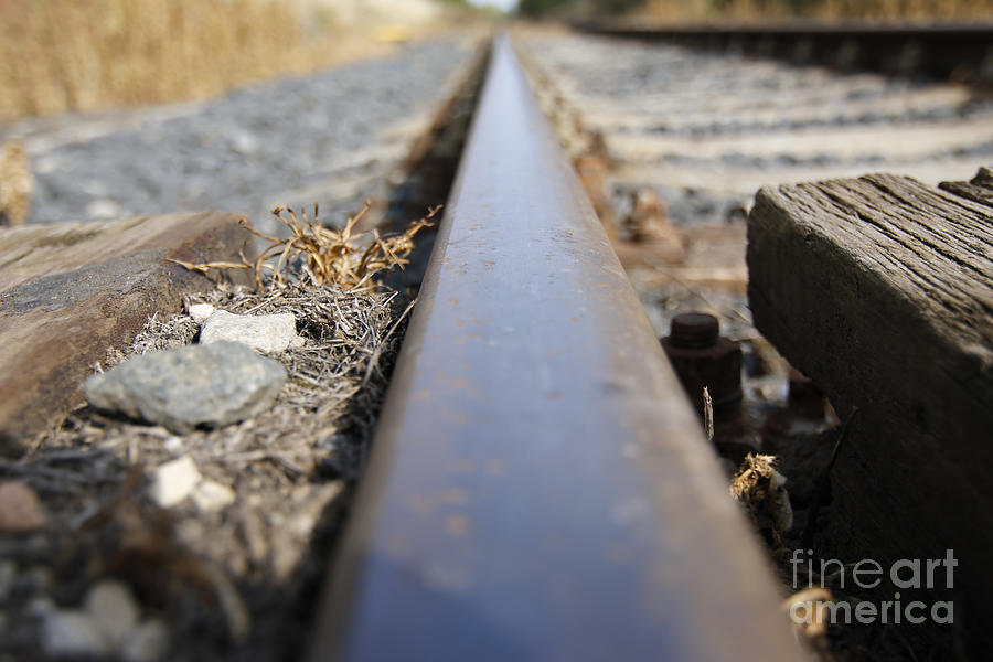 The Rail Photograph by Michal Boubin