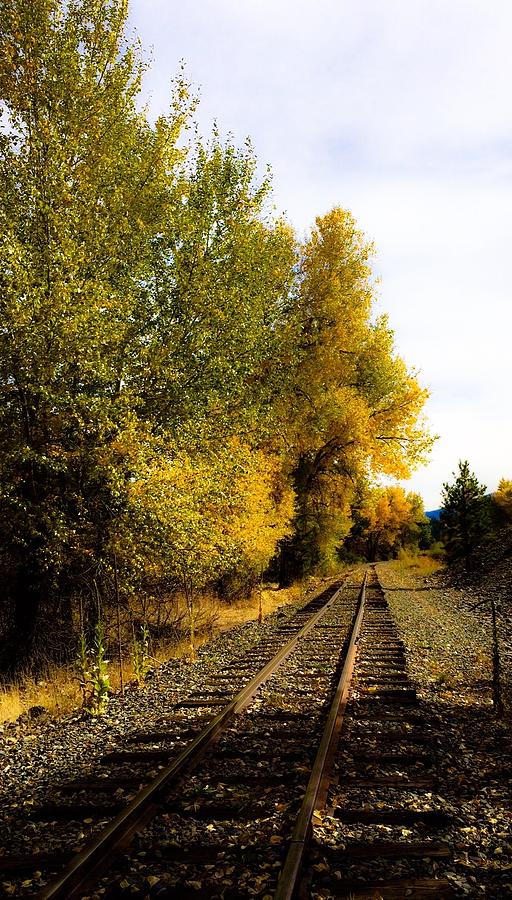 The Rail to Home Photograph by Jennifer Lake