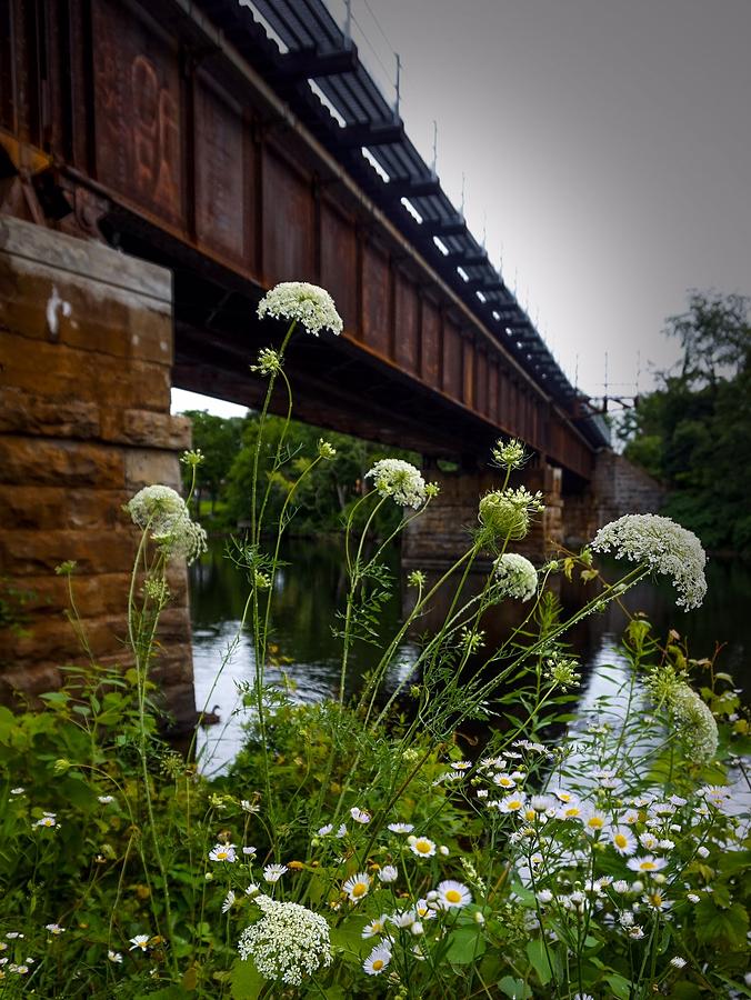 The Railroad Bridge Photograph by Kendall McKernon