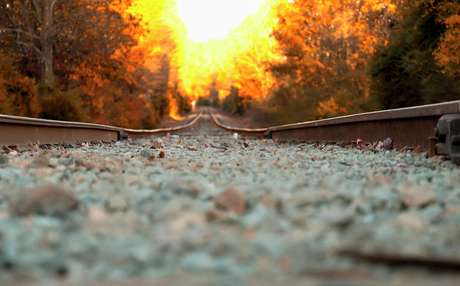 Sunset Photograph - The railroad tracks from a new perspective by Flees Photos