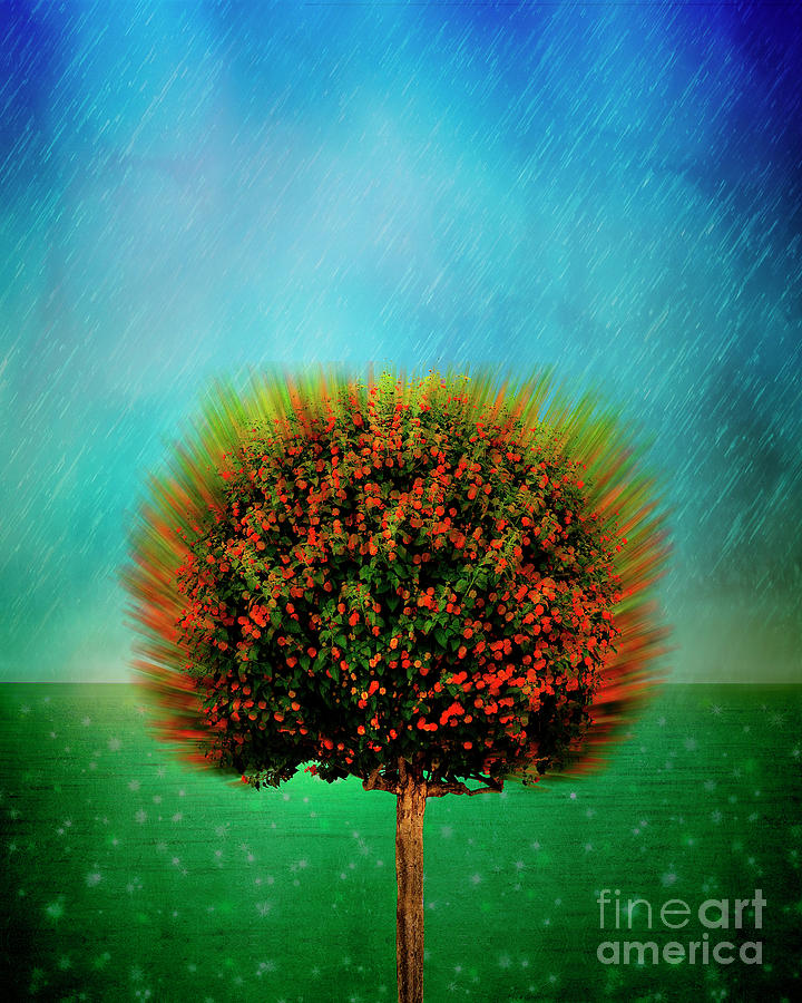 The Rain in Spain Digital Art by Edmund Nagele FRPS