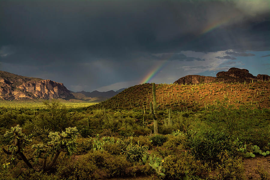 The Rainbow And The Rain  Photograph by Saija Lehtonen