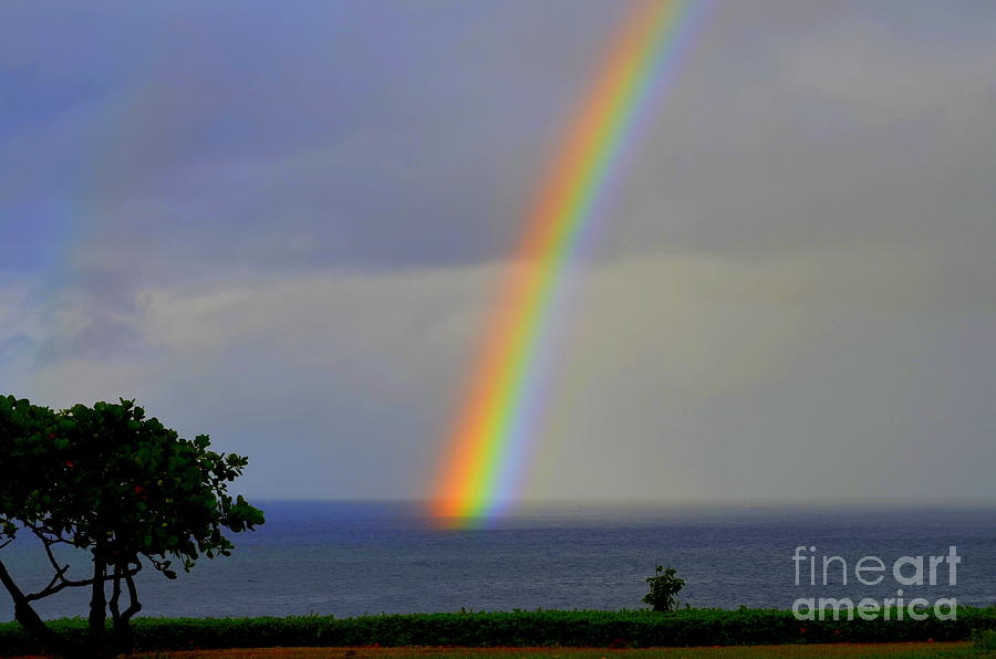 The Rainbow and The Sea Photograph by Mary Deal