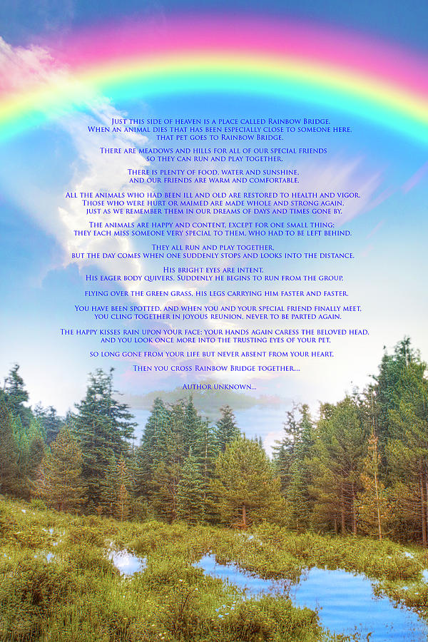 Rainbow Bridge Printable Poem - Printable World Holiday