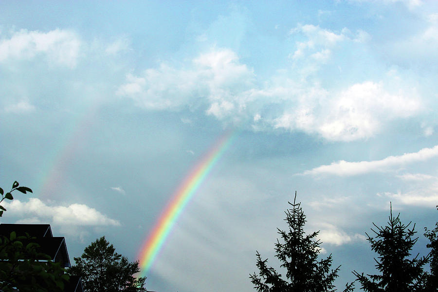 The Rainbow Photograph by David Stasiak